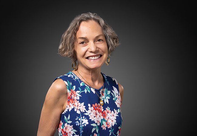 Julie E. Wollman